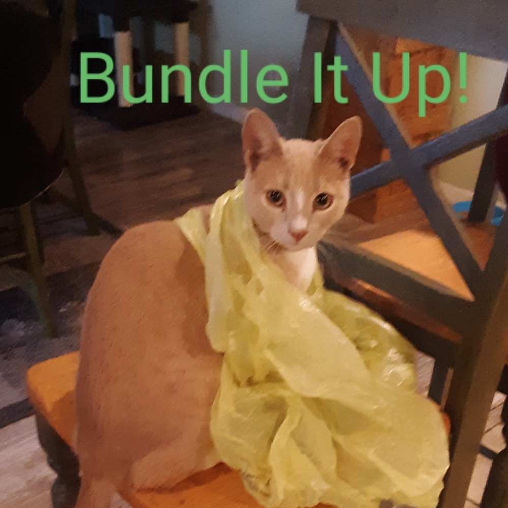 Build Your Bundles
